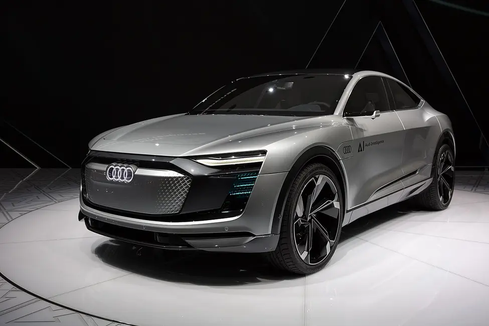 Audi Elaine